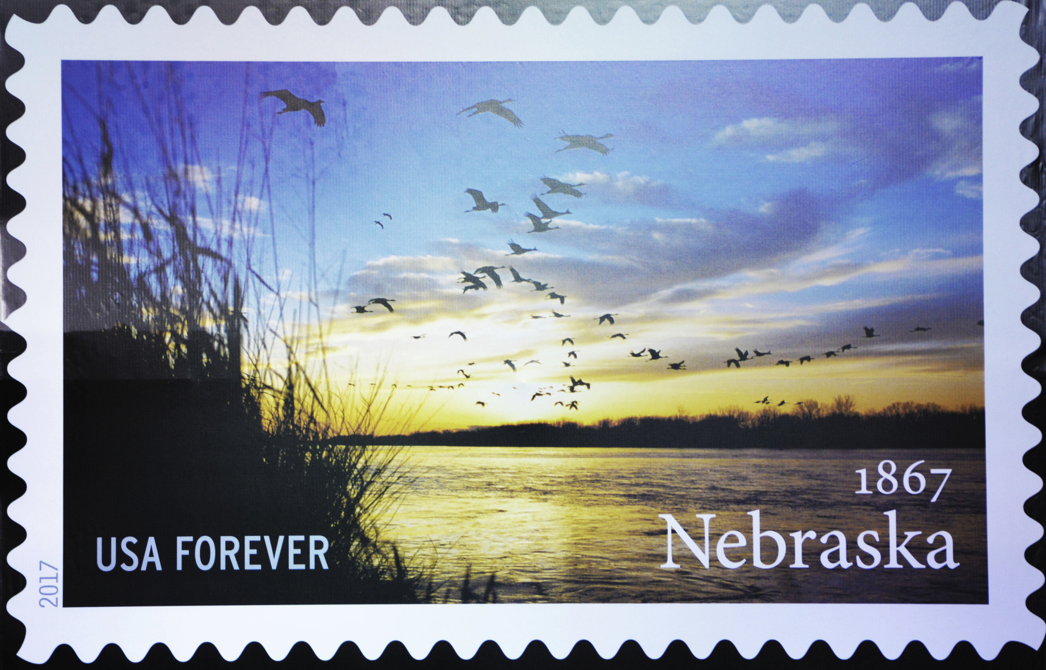 The new Nebraska Statehood Forever Stamp features a photo by the university's Michael Forsberg.