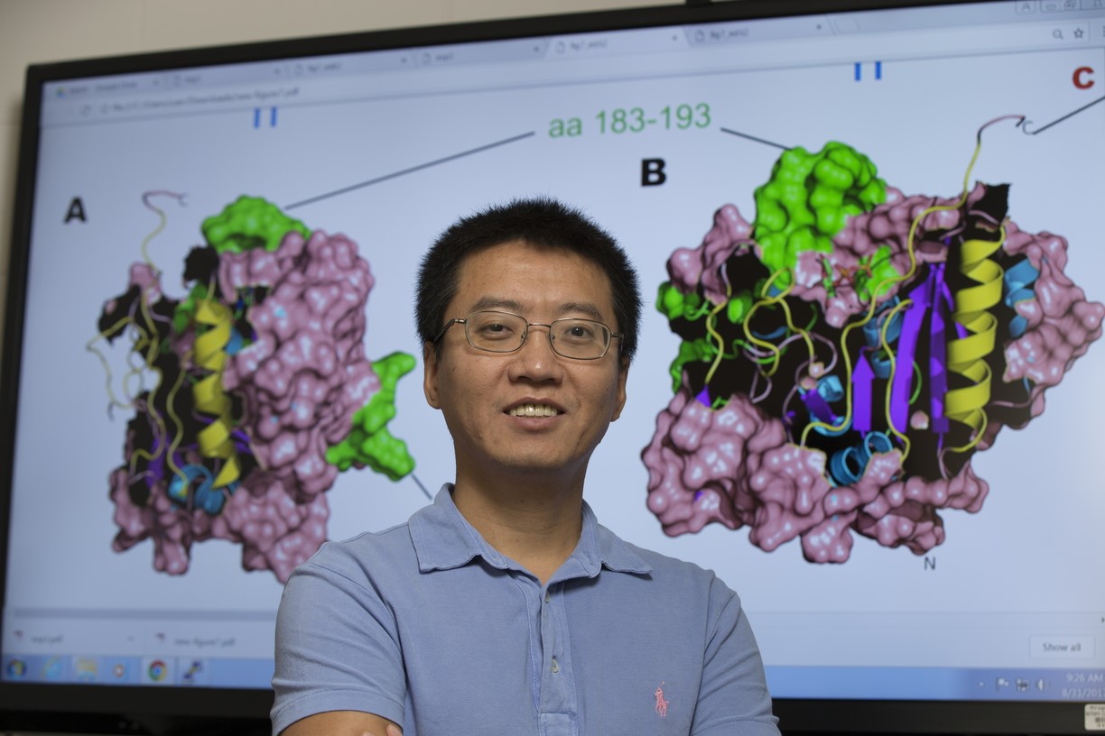 Yanbin Yin, associate professor of food science at Nebraska, has received a four-year, $1.2 million grant from the National Institutes of Health to continue his research.