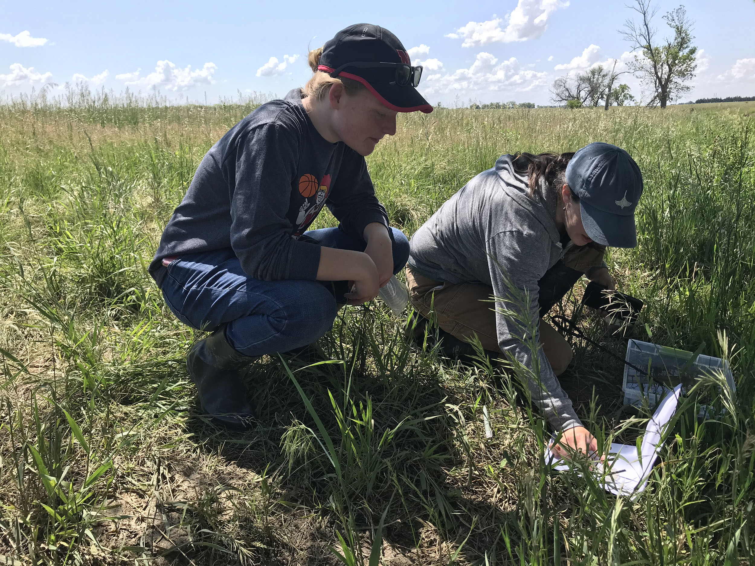 With the assistance of a grant from the Cabela’s Apprenticeship Research Project, Husker student Abigail Schoup (left) is working with a research team looking at how wastewater contamination linked to the AltEn ethanol plant near Mead has impacted frogs. She is pictured here with her adviser, Liz VanWormer, assistant professor in the School of Veterinary Medicine and Biomedical Sciences at Nebraska.