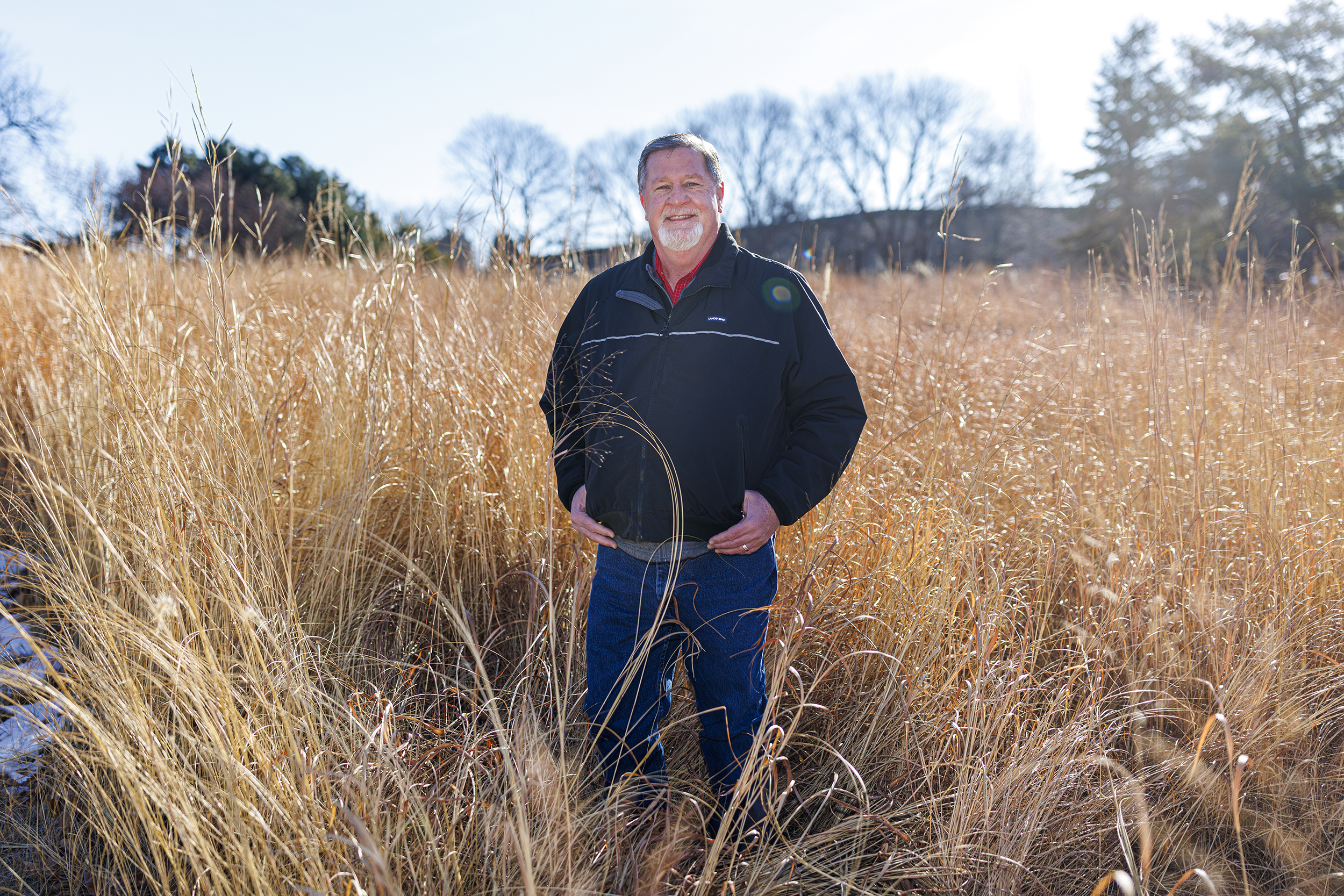 A new study led by Daren Redfearn, professor of agronomy and horticulture and forage systems specialist, is exploring whether a targeted restoration of perennial grasses amid cropland could bring about a variety of benefits.