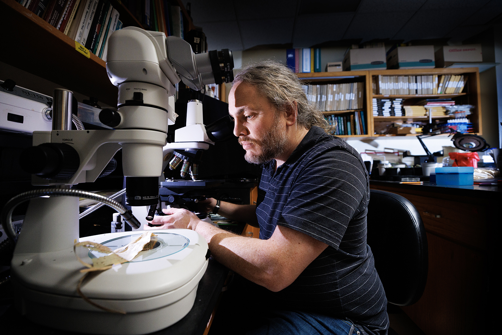 Kyle Broderick, coordinator of the Plant and Pest Diagnostic Clinic and an assistant extension educator in plant pathology, uses a microscope to examine two tar spot samples on corn leaves.