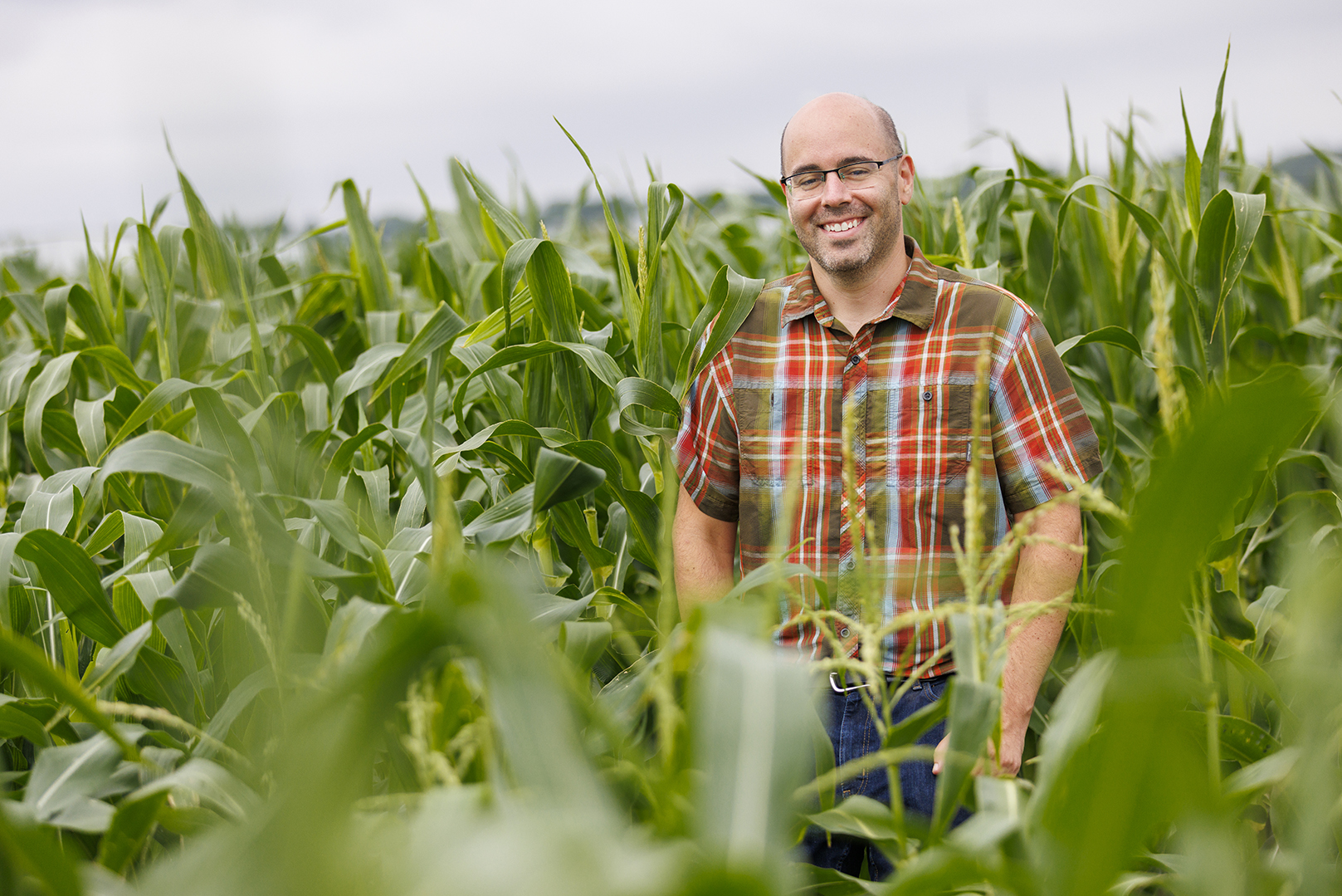 James Schnable stands in a corn field