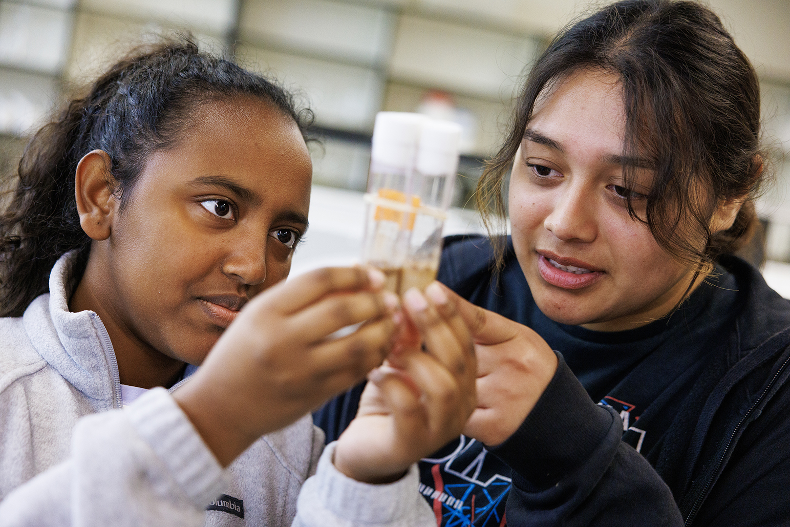 Segen Yosief and Alejandra Moreno look over fruit fly samples as part of their summer research. 