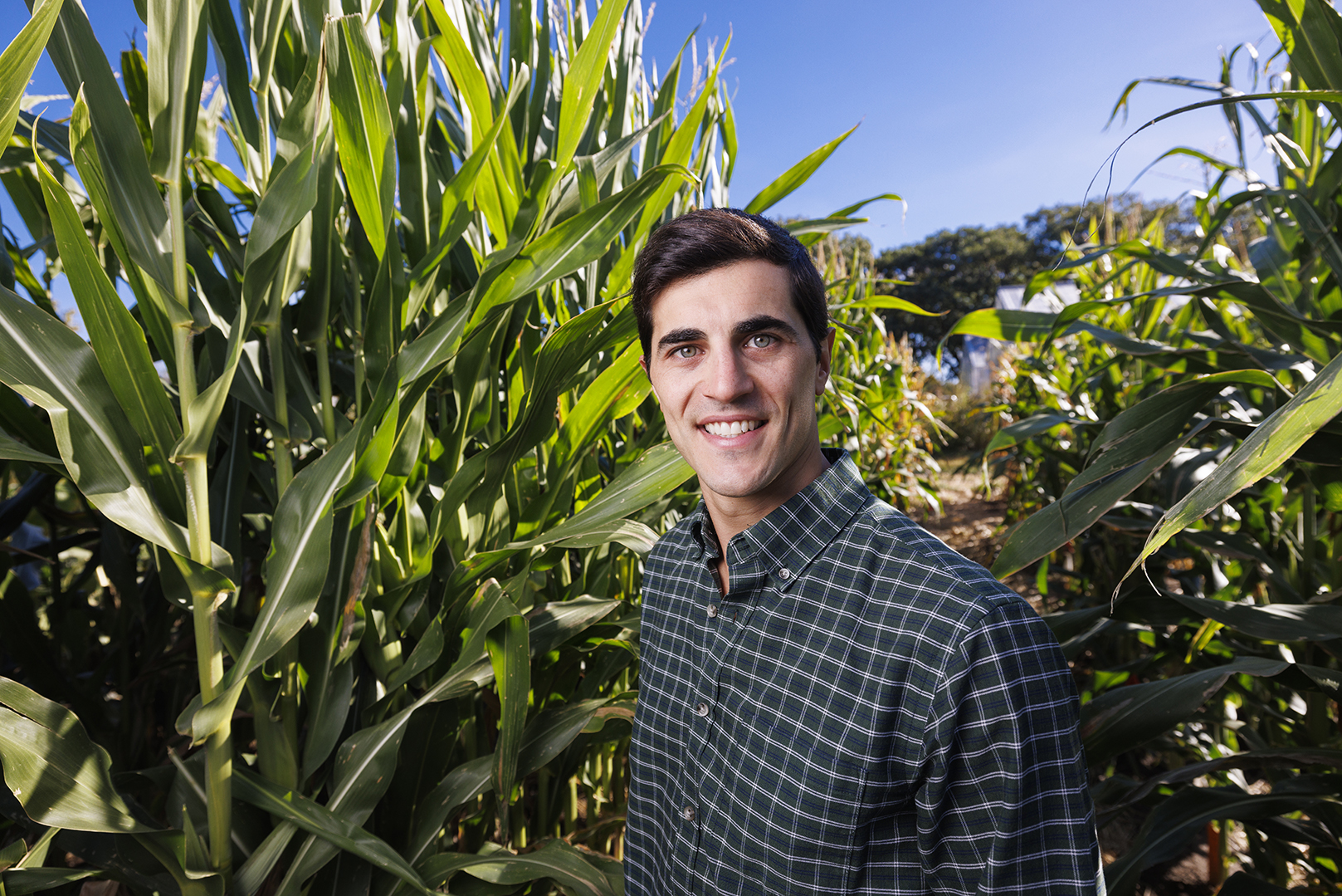 Walter Carciochi, a postdoctoral research associate in agronomy and horticulture at Nebraska, stands amid corn plants.