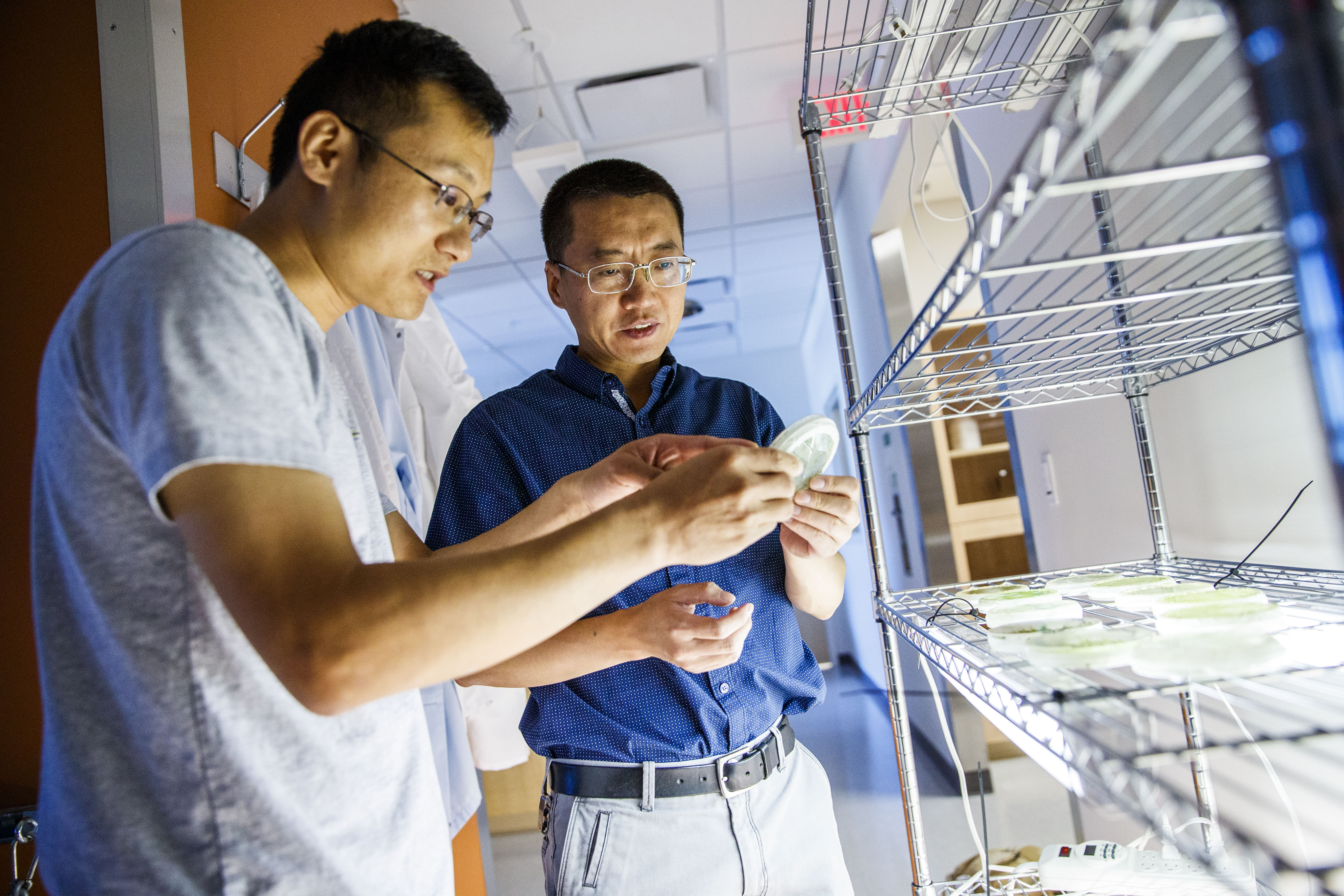 Computational biologist Yanbin Yin (right) and post-doctoral researcher Xuehuan Feng review algae samples.