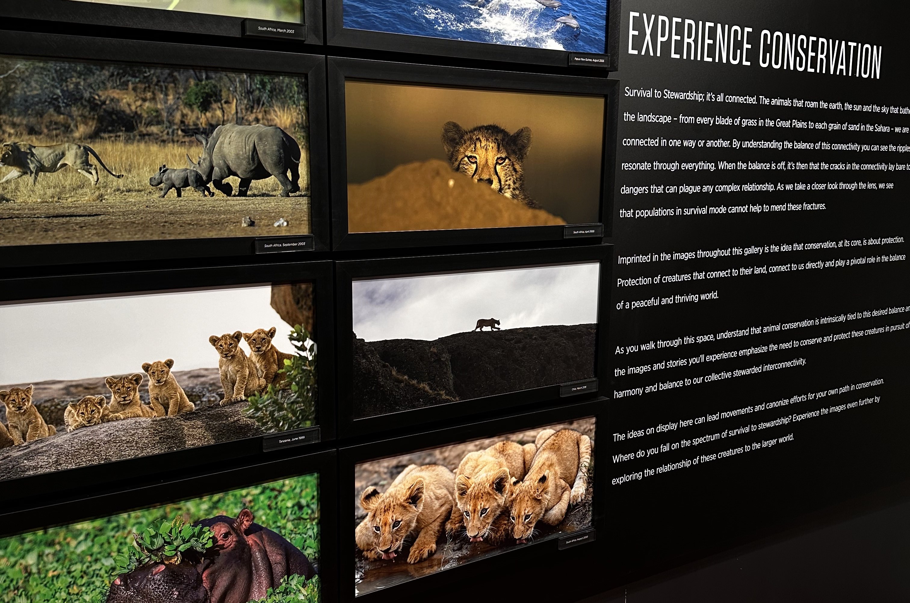 Several wildlife photos are seen next to a paragraph with the header "Experience conservation."