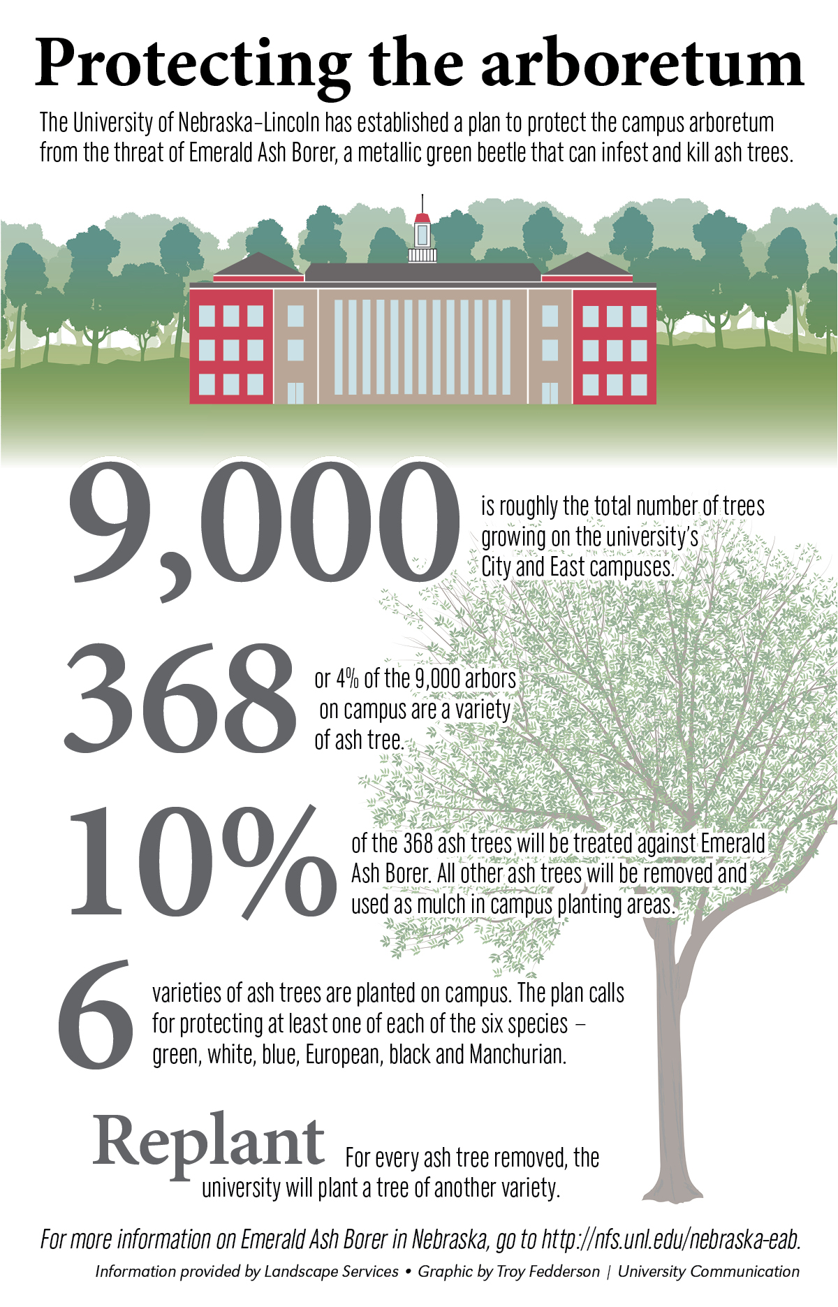 Emerald Ash Borer protection plan graphic