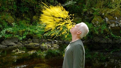 Artist Andy Goldsworthy is featured in "Leaning into the Wind," a film opening April 6 at the Ross.