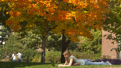 A UNL student works on a laptop with a splash of fall color on the background.