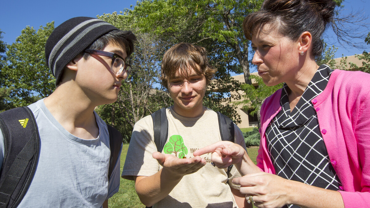 Tiffany Heng-Moss talks about honeybees during the an Entomology 115 class on Sept. 26. Heng-Moss will discuss insects in a Jan. 19 Sunday with a Scientist program at Morrill Hall.