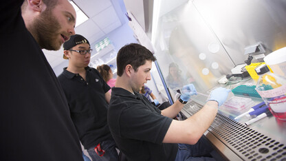 Nebraska students work in a biological systems engineering lab on campus. A new partnership between NU's National Strategic Research Initiative and Los Alamos National Laboratory is designed to expand biodefense instruction across the University of Nebraska.