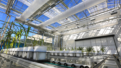 A preview of the Nebraska Innovation Campus greenhouse and unique phenotyping system begins at 2:30 p.m. May 18.