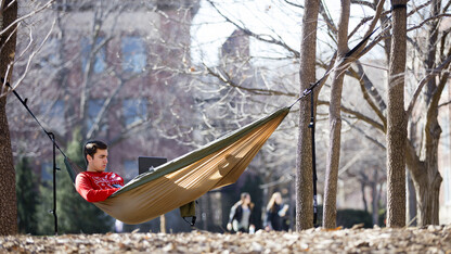Tyler Reedier hangs out among the trees between Canfield Administration Building and Andrews Hall in spring 2016. The university is creating an area for hammocks by Broyhill Fountain.