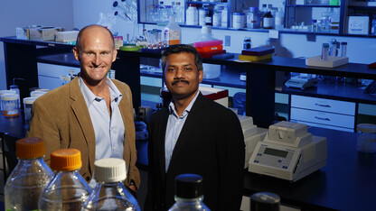 Jay Storz (left), Susan J. Rosowski professor of biological sciences, and Chandrasekhar Natarajan, research assistant professor in biological sciences.