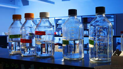 Bottles sit in the lab of Nebraska's Jay Storz, one of four Husker researchers who have been named AAAS fellows. Others honored include Roger Bruning, David Hage and Jim Lewis. Since 2016, 17 Nebraska faculty have earned the AAAS honor.