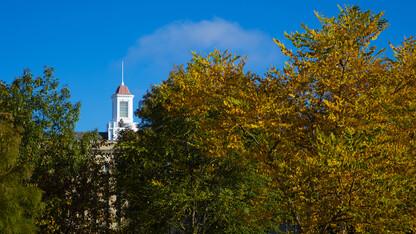 Fall leaves frame the Love Library cupola on City Campus.