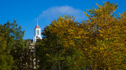 The Love Library cupola peeks out between fall color on Nebraska's City Campus.