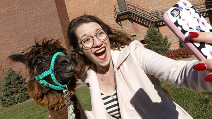 Alison Finn, a secondary English education major, takes a selfie with Mahogany the alpaca. Finn is designing a costume to dress a human like a alpaca.