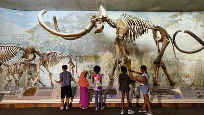 Visitors stand in awe of the mammoth skeleton in Elephant Hall in 2018.