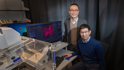 Ruiguo Yang (seated) and Jung Yul Lim have received a three-year, $439,584 grant from the National Science Foundation grant to work on understanding how linked individual cells communicate with each other as they respond to physical changes in their shared environment.