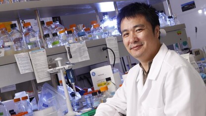 UNL plant scientist Bin Yu and his team have uncovered important clues about how plant cells control microRNA function, a step toward better understanding crop development and stress response.