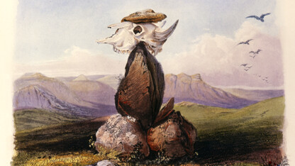 Illustration by Karl Bodmer