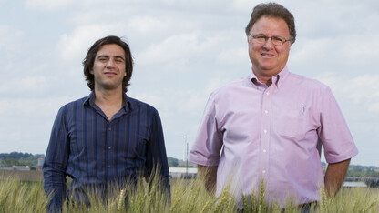 Agronomists Patricio Grassini (left) and Ken Cassman are part of the UNL team that developed the Global Yield Gap and Water Productivity Atlas through an international research collaboration.