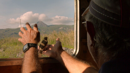 In eastern Turkey's Aras River wetland, volunteer Michael Ford releases a songbird back into the wild.