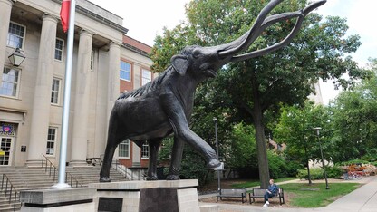 Mueller Planetarium at Morrill Hall, south of 14th and Vine streets, will host the Fulldome Festival May 28.