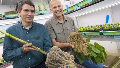 Edgar Cahoon, left, professor of biochemistry and director of UNL's Center for Plant Science Innovation, and James Alfano, professor of plant pathology at UNL, will lead a $20 million, Nebraska-based research effort to improve crop productivity.