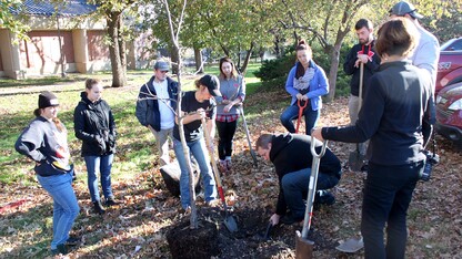 Students in Kim Todd's landscape design class plant trees on East Campus in November. The class works closely with Landscape Services on planting projects around campus.