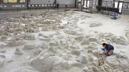 Visitors to Ashfall Fossil Beds State Historical Park can watch as paleontologists uncover new fossils in the 17,500-square-foot Hubbard Rhino Barn.