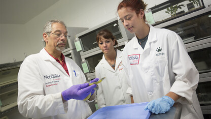 Dennis Ferraro (left), professor of practice in natural resources at Nebraska, will teach visitors about snakes and the importance of snake conservation Jan. 21 during Sunday with a Scientist at Morrill Hall.