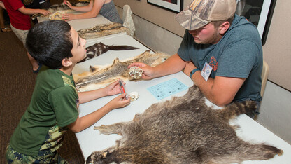 Archie's Late Night Party, 6 to 9 p.m. June 14 at the University of Nebraska State Museum at Morrill Hall, will feature activities related to astronomy, chemistry, zoology and more.