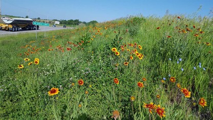 In addition to visual aesthetics, the main reason the Nebraska Department of Transportation seeds roadsides is to establish vegetation cover and prevent erosion, which is required by the federal government.
