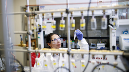 Limei Zhang, assistant professor of biochemistry at Nebraska, has earned a $600,000 grant from the National Science Foundation’s Faculty Early Career Development Program to advance her research on a protein within the tuberculosis bacteria.