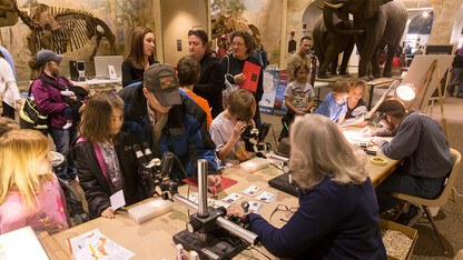 Dinosaurs and Disasters is 9:30 a.m. to 4:30 p.m. Feb. 8 at the University of Nebraska State Museum-Morrill Hall.