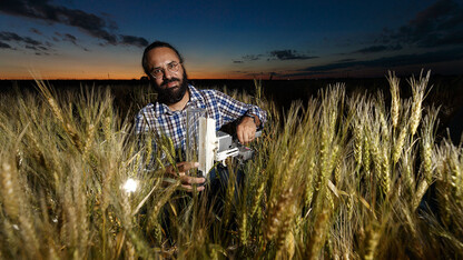 Nebraska’s Harkamal Walia and colleagues have described a novel form of a gene obtained from wild wheat that has the potential to improve drought tolerance in cultivated wheat.