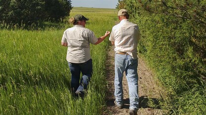 Funds will be available as early as spring 2021 for qualifying landowners to undertake a variety of tree-related management in Nebraska.