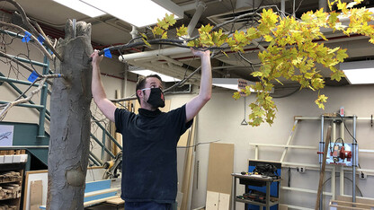 Zak Kathol, exhibit fabrication coordinator at the NU State Museum, hangs a branch on a fake tree that will be a centerpiece of the “Poop & Paws” exhibit.