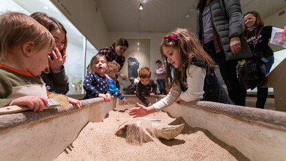 Archie’s Party — 9 a.m. to 5 p.m. June 12 at the University of Nebraska State Museum-Morrill Hall — will feature two large fossil dig sandboxes, as well as a scavenger hunt, the short film “Carrie Barbour” and a variety of craft stations.