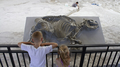 A boy and girl watch excavation work at Ashfall Fossil Beds State Historical Park