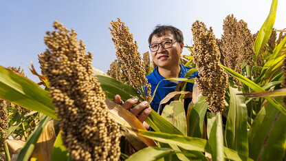 Jinliang Yang, assistant professor of agronomy and horticulture, stands in a sorghum field.