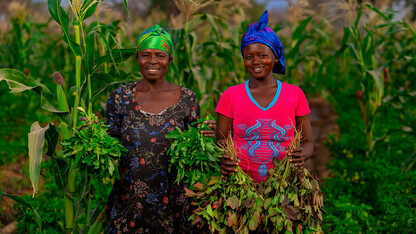 Two African women stand in a field holding plants.