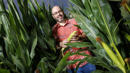 James Schnable holds an ear of corn in a corn field.