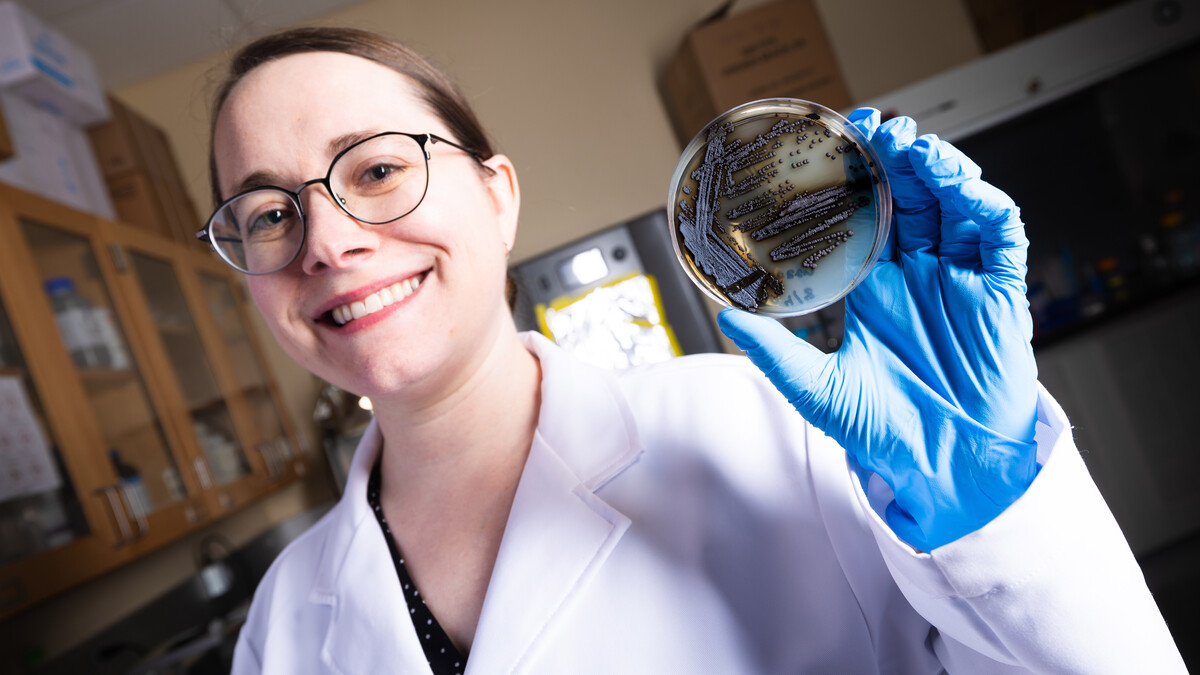 Erin Carr, a postdoctoral researcher, displays a petri dish containing Exophiala viscosa, a novel fungus she isolated, characterized and genome sequenced. The dark brown, iridescent colonies are surrounded by a shadowy halo of secreted melanin, highlighting the organism’s striking pigmentation and potential for biotechnological applications.