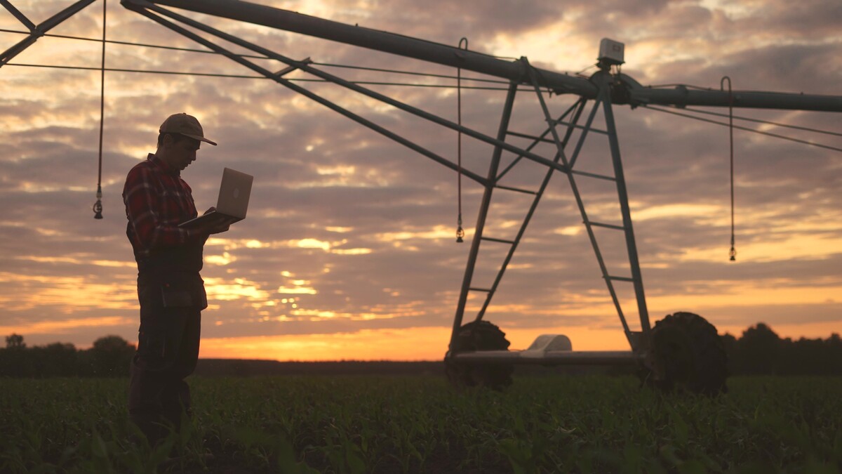 A male farmer looks at a laptop near an irrigation system at sunset.