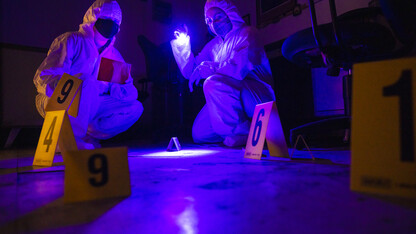 Symone Arends, a senior from Lincoln, shines an ultraviolet light onto the floor. The light will make body fluids and fibers  glow when viewed through the filter held by Alysa Ehlers, a senior from Woodbridge, Virginia. The two are working a mock crime scene in a basement room in Filley Hall.