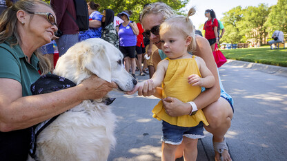 A mom holds her child as they pet a dog at East Campus Discovery Days on June 12.