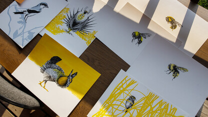 Bird and bee artwork by Sarah Kaizar sits on a desk at Cedar Point Biological Station.
